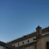 2020.08.29 CIGUEÑAS (5)
